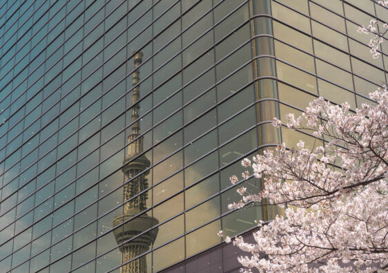 Tokio Reisetipps Alles was ihr über Japan’s Hauptstadt wissen müsst
