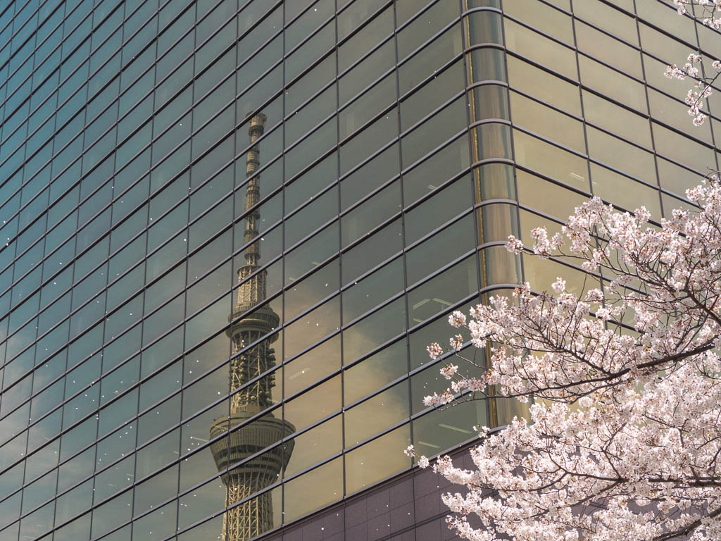 Tokio Reisetipps Alles was ihr über Japan’s Hauptstadt wissen müsst
