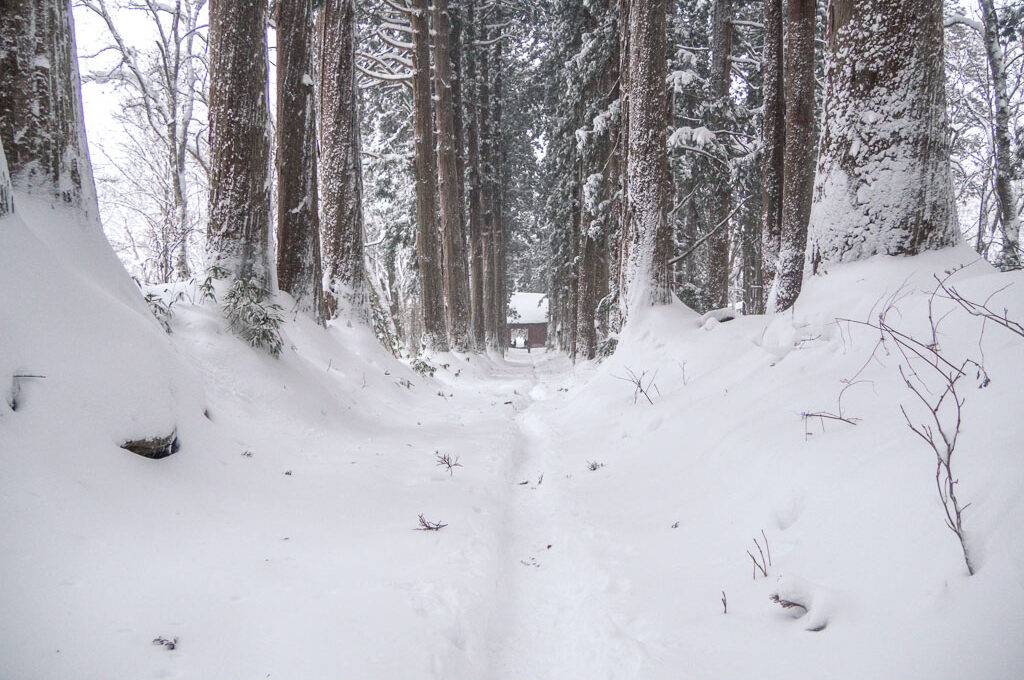 Nagano im Winter