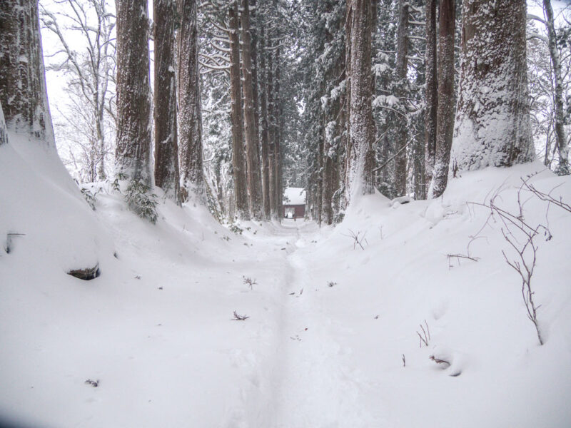 Nagano im Winter