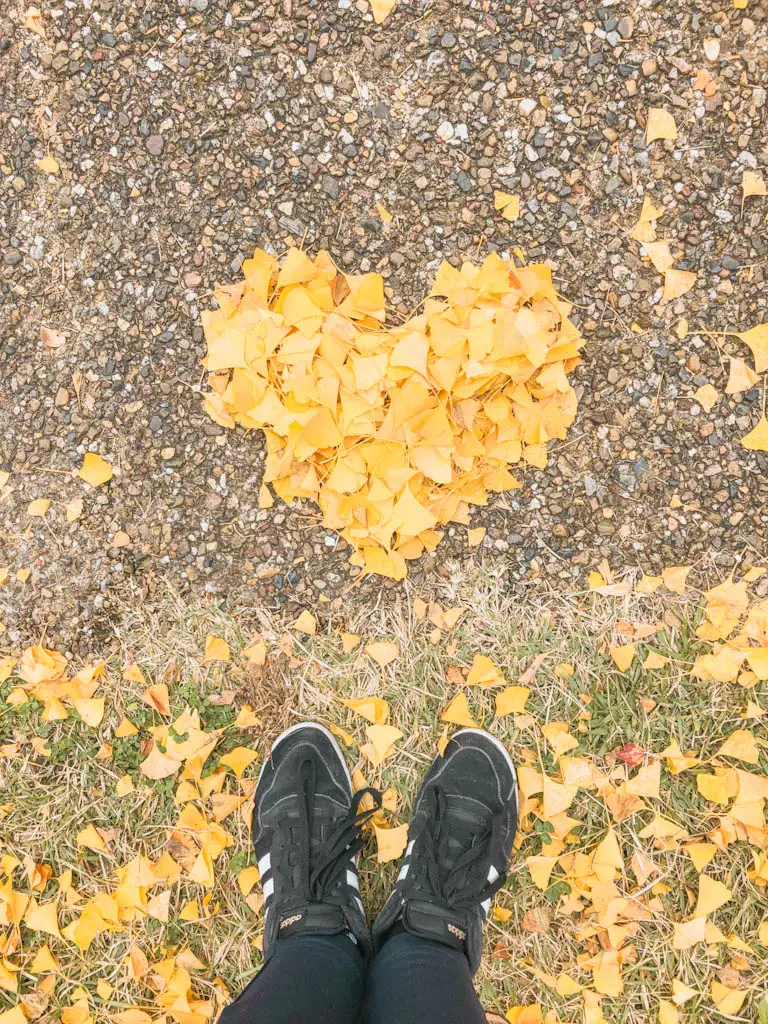 herbstlaub vorhersage sendai-1