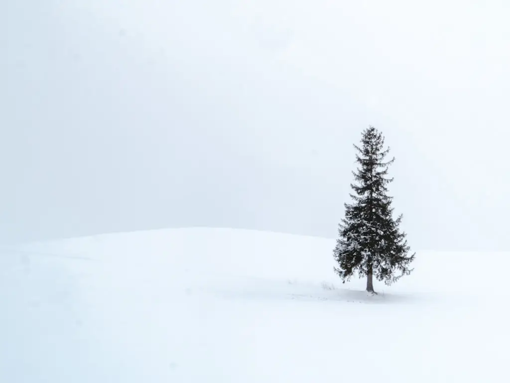 Japan Winterreise Biei-3