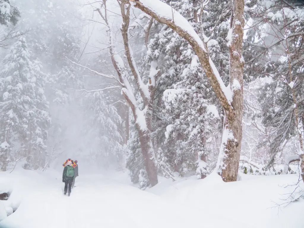 Nagano im Winter-1